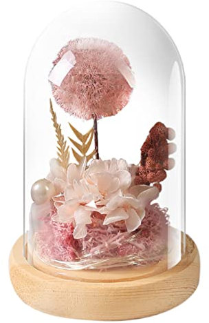 Générique Rose éTernelle,Rose Eternelle Sous Cloche En Verre Lumineuse Fleurs Eternelles Meilleure Amie Cadeau Fleur Artificielle Cadeau Anniversaire De Fille （Plusieurs Couleurs）