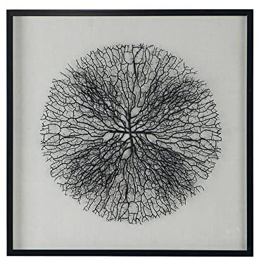 A and B Home 82895 31.5 H Square-Shaped Black and White Plastic/Glass Shadow Box Decor Wall Art