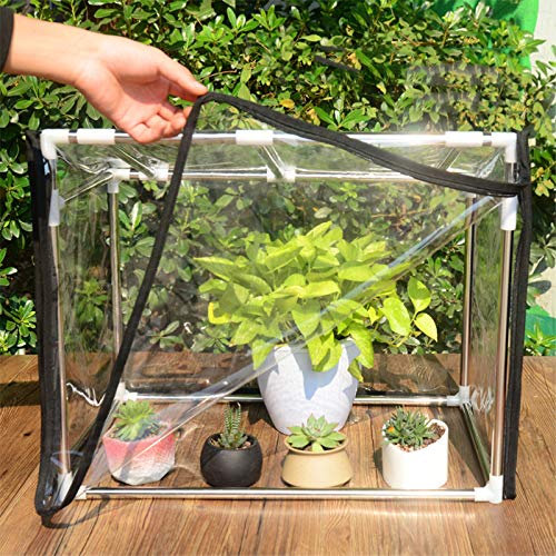 ZHZ-DT Kleine Mini Balkon Gewächshaus Pflanzenhaus Treibhaus mit transparentem Kunststoff-PVC-Abdeckung |Indoor Outdoor Garden Pflanze Zeltunterkunft für Tomaten, Sämlinge - Wachsen Hausgarten