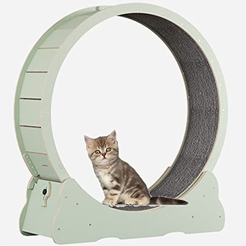 katzenlaufrad Hölzernes Katzenübungs-Riesenrad, Haustierfreundliches Katzenlaufband, Indoor-Katzenlaufrad, Winziger Spalt und Leise Riemenscheiben,Green-M