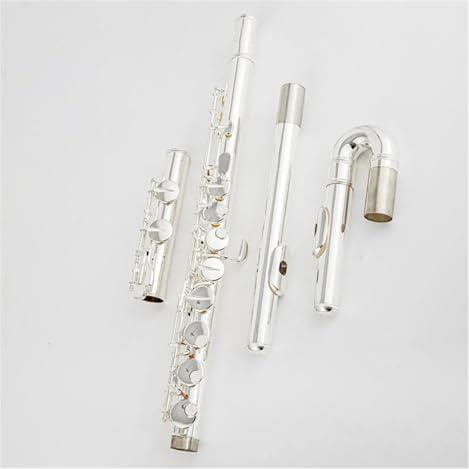 Altflöte, 16 Löcher, Geschlossenes Loch, G-Ton, Versilberte Tasten, Flöte, Musikinstrument Mit Koffer Querflöte für Anfänger