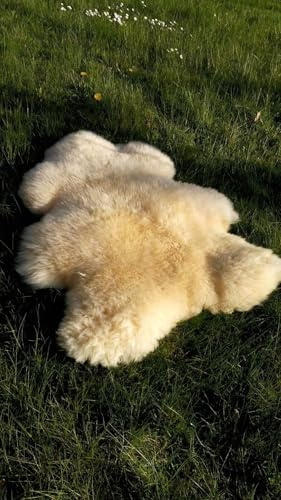 Provellus Echt medizinisches Merino Lammfell Schaffell geschoren und ungeschoren S-XXXL (2. Wahl 5-10 cm ungeschoren, 30cm Rund)
