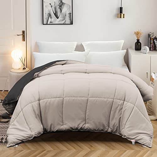 MOHAP Couette Bicolore Chaude l'hiver 450g/m² Épais 200x200cm Hypoallergénique Bicolore Beige + Gris Couette de Lit Réversible 2 Personnes Edredon
