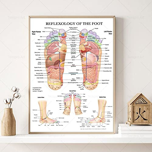 Reflexzonenmassage Des Fußes Poster Akupunktur Punkt Diagramm Anatomie Kunst Leinwand Malerei Druckbild Für Wohnzimmer Home Wall Decor 21X30Cm Kein Rahmen