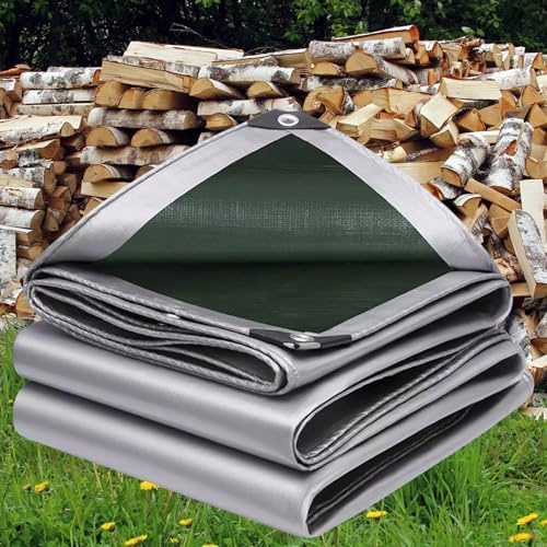 Telone Impermeabile per Esterno 200g/m² PE 8x9m Telo Occhiellato Rinforzato in Copertura per Piscina Auto, Mobili da Giardino, Antipioggia e Antivento argento verde