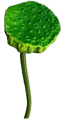 WLTYSM Künstliche Seerosen Seidenlotusblume, Fruchtblattstiel, künstlicher Seerosengrünpflanzenzweig Kunstblumen (Color : Green Fruit)