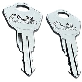 Pair of Replacement Keys for Sentry Safe Lock Boxes, Fire Chests, Fire Files, & Fire/Water Files – Cut to Code 3W2