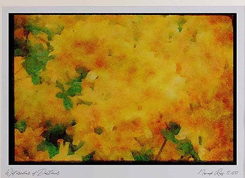 Wild Flowers Plants 013001 Golden Throated Yellow Azaleas Watercolour Picture Limited Edition A4