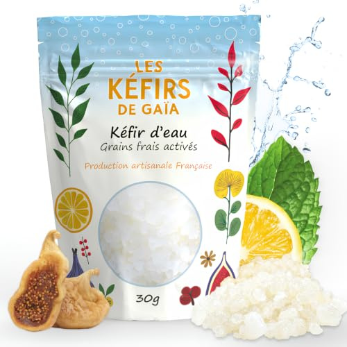 LES KÉFIRS DE GAÏA® - Kéfir d’eau - Grains de Kéfir de Fruit Frais Activés - 30g/60g - Fait en France - Kéfir non congelé - Guide d’utilisation et Recettes - Démarrez votre culture maintenant ! (30g)