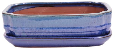 Bonsai-Shopping Bonsai - Schale eckig 27 x 20.5 x 7.5 cm, grün/blau, mit Untersetzer 31135