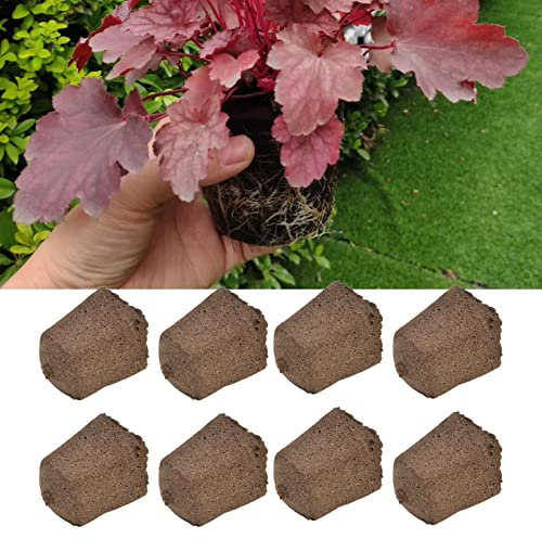 50pcs Growth Plugs Plant Seed Starter Seed Pods,Environment Hydroponics Growing System for Seed Starting Hydroponic and Soil Applications Nutrient Plant