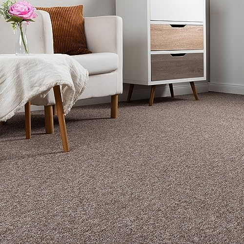 Steffensmeier Schlingen Teppichboden Meddon XL Meterware | Auslegware für Flur Büro | 1m 2m 3m 4m 5m breit! | Sand, Größe: 200x200 cm