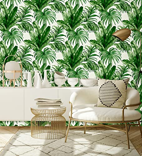 GAULAN 500676369 - Carta da parati lavabile in vinile tropicale foglie di piante verde texture ad olio 3D per pareti soggiorno cucina bagno camera da letto - Campione DIN A4