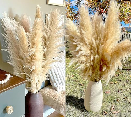 20 Pampas Grass XXL, Deko Gross für Boho Deko, Wohnzimmer, Schlafzimmer, Hochzeit, Bad (100cm)