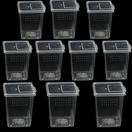 10 Stück Insektenspinnen-Terrarien-Zuchtbox, Kleiner Reptilien-Brutbehälter, Kunststoff-Reptilienbox Für Baumspinne, Vogelspinne, Mantis, Skorpion, Hundertfüßer, Kleine Reptilien