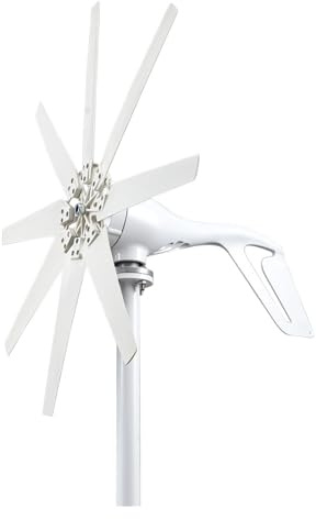 Turbina eólica, Generadores de turbina eólica gratuitos 3000w, 12v, 24v, 48v, 6 aspas, molinos viento, granja yates RV for uso doméstico(2kw 8 Blades,12V)