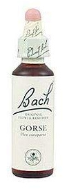 Bach 13 Gorse 20 Ml (Flores De Bach Aulaga) Bach