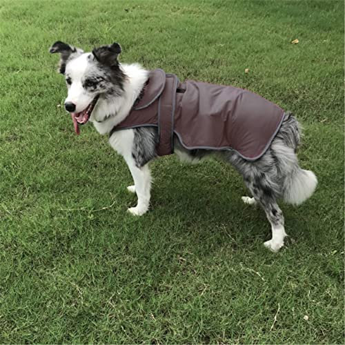 Tonsee Accessoire Hunde Warm Hoodies Mantel Kleidung Pullover wasserdichter Hundemantel Kaltes Wetter Warme Hundejacke Bekleidung für kleine mittelgroße Hunde Warmer Mantel Für Hunde (Rot, M)