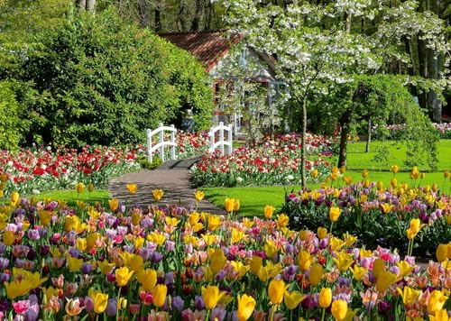 Ravensburger - Puzzle 1000 Pezzi Parco Keukenhof, Paesi Bassi​ | Puzzle 1000 Pezzi Paesaggi Con Una Misura Di 70x50 Cm | Regalo Per Adulti E Bambini Da 14 Anni E Più