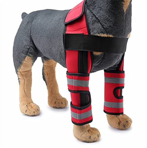 Protector de rodilla para perro, protector de rodilla antilamidas, rodillera frontal, rodillera de recuperación, coderas para perros