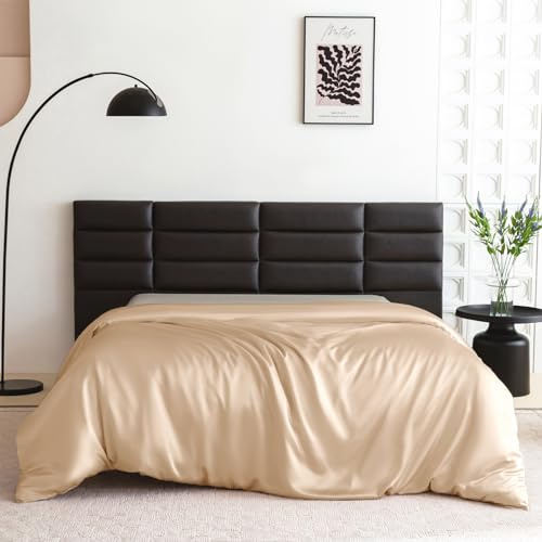 THXSILK 100% Silk Duvet Cover Queen Size, 22 Momme Mulberry Silk Comforter Cover, Cooling, Breathable, Easy Care Zipper Closure, 1 PC Duvet Cover (Queen, Champagne)