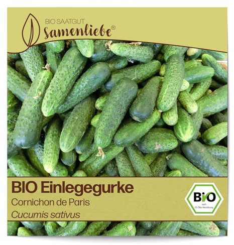 Samenliebe BIO Einlegegurken Samen alte Sorte Cornichon de Paris Snackgurke Gurke grün 10 Samen samenfestes Gemüse Saatgut für Gewächshaus Freiland und Balkon BIO Gemüsesamen