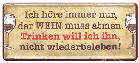 Lustiges Wein Blechschild mit witzigen Spruch - Retro Deko Metallschild für Küche Weinkeller Weinbar Weinlaube Weingut - Geschenkidee für Weinkenner Weinliebhaber - Geschenk für Frauen - 28x12cm
