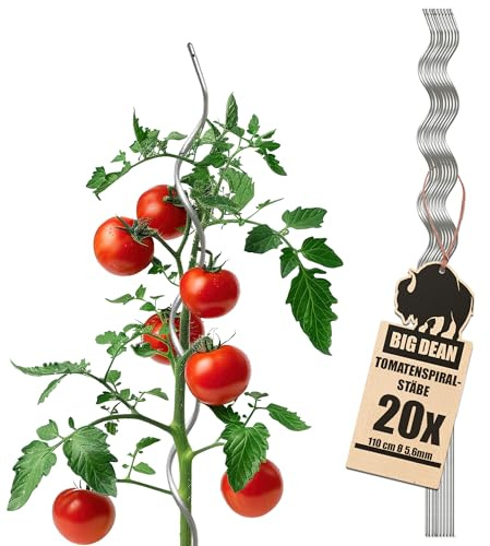 BigDean 20 Tomatenspiralstäbe 110cm voll verzinkt Tomatenstab Pflanzstab | Tomaten Ranke Stahl Profi Qualität Tomatenspiralstab