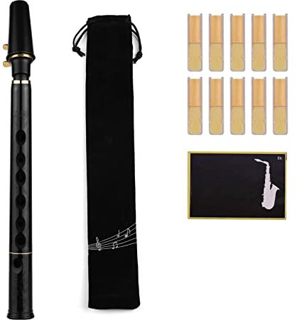 DZDZDZ C Key Mini Pocket Saxophon Sax Abs Material Mit Mundstücke 10 Stücke Reeds Tragen Tasche Holzwind Instrument Für Anfänger Professionelles Saxophon