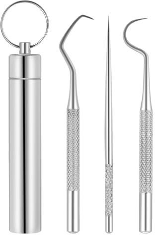 Stainless Steel Toothpick Set, 3 Pcs Toothpick Holder with Keychain and Storage Box, Suitable for Outdoor Picnic Travel