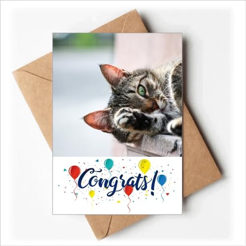 Tieraktivität Katze Foto Bild Hochzeit Karten Glückwunsch Gruß Umschläge
