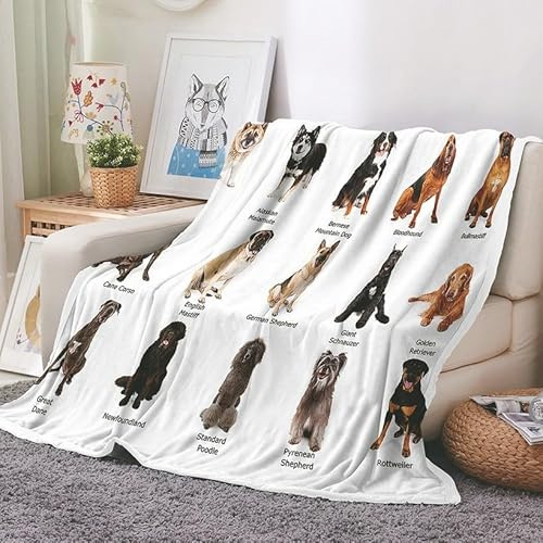 EHOMERY Manta Fina Sofa Cobija Caliente Manta Mudanza Sobrecama Blanca Perro Mascota Manta Aire Acondicionado Mantas Decorativas Suaves Y Cómodas Blanco 150x100cm