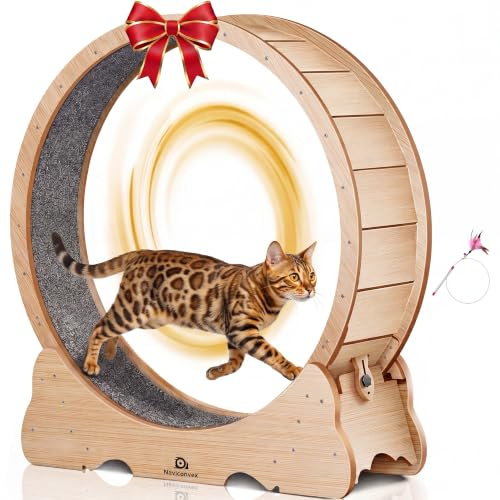Naviconvex ruota per gatti XXL colore legno naturale – Ruota per gatto diametro 135cm, silenziosa e robusta per esercizio e intrattenimento in casa – Design elegante, ideale per gatti grandi e attivi