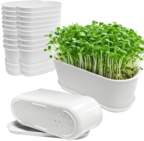 SYITCUN 20 vasi per erbe aromatiche, 22 cm, vaso per bonsai, in plastica bianca, rettangolare, per cucina, balcone, davanzale