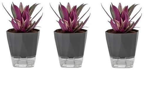 Zhaoj24-05 Macetas de Interior Macetas sin riego Macetas autoabsorbentes Macetas suculentas de orquídeas de balcón de plástico Maceta(Gray Three,Grande)