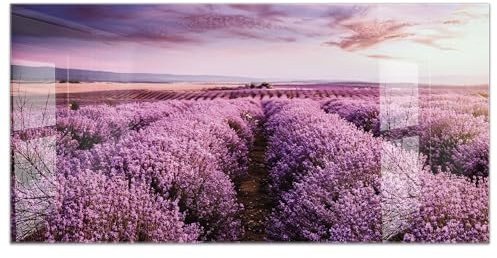 timalo Küchenbild aus Acrylglas modernes Wandbild Glasbild Deko Küche XXL Bild wie Glas | 120x60cm Lavendelfeld, Provence, lila Blüten, Sonnenuntergang, Natur romantische Landschaft