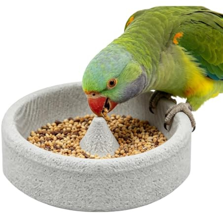 s Exteriores para Aves Plato pequeño de Piedra Resistente a la Intemperie