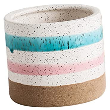 Milisten Sukkulenten-blumentopf Aus Keramik Bonsaischale Aus Keramik Desktop- Blumentöpfe Für Draußen Saftig Blumendekor Sukkulentöpfe Mit Drainage Blumentopf Drinnen Kekstopf Pflanze