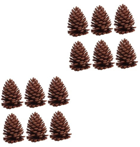 Cabilock 2 Sätze Getrocknete Tannenzapfen Würfelunterlage LEDs Leuchtmittel Weihnachtsbaum Dekoration Dekoringe Echter Tannenzapfen Natürliche Kiefernkugeln Kiefernzapfen 6 Stück * 2
