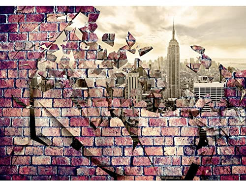 Runa Art Papel tapiz fotográfico Pared de piedra Nueva York 352 x 250 cm Lana Fondo De Pantalla XXL Moderna Decoración De Pared Sala Cuarto Oficina Salón marrón 9173011c