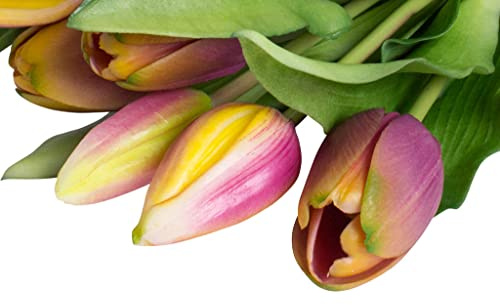 Nova-Nature künstliches Tulpenbündel Sally mit 4 Tulpen und 3 Tulpenknospen real Touch (Mauve-gelb)