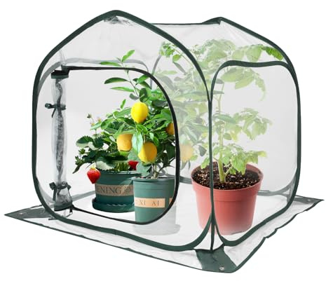 Pop Up Gewächshaus 80 x 80 x 80 cm Ultra Winterfest Stark Pflanzenschutzzelt Winter Transparent Überwinterungszelt für Pflanzen Kleines Winterzelt Wintergewächshaus für Gemüse und Blumen