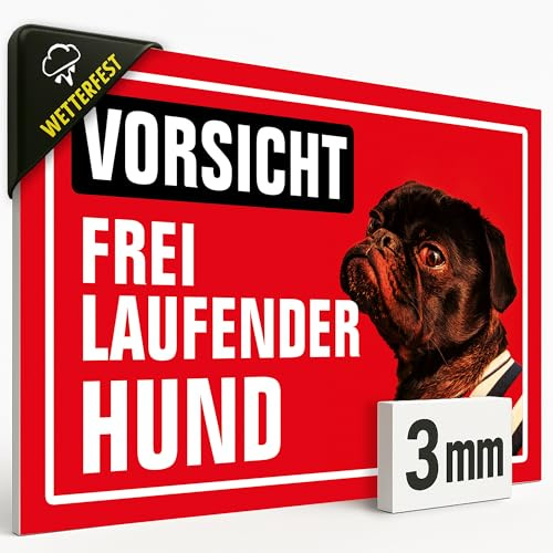 Freilaufender Hund Schild – 20x30 cm – Vorsicht Hund, Wetterfest Hundeschild aus 3mm starker Hartschaum Platte – UV-beständig & farbecht – Deutsche Qualität, Warnschild #190