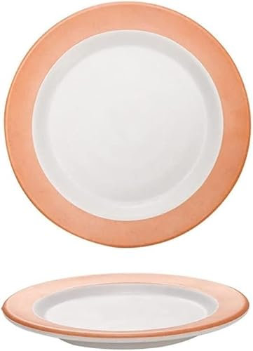 WDCDYQDH Platos Hermoso Plato de Cena Plato Redondo de plástico Plato Plato de Postre Plato de Ensalada Adecuado para Platos de Cereales saludables Platos de Cena
