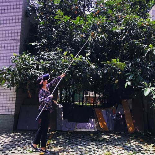 raccogli asparagi pinza frutta Pinza Allungata Con Manico Lungo Per Alberi Da Frutto, 2.5 3 5 6 7 10 M Palo Per La Raccolta Della Frutta Telescopico Con Cesto Per I Raccoglitori Di Frutta Più Grandi,