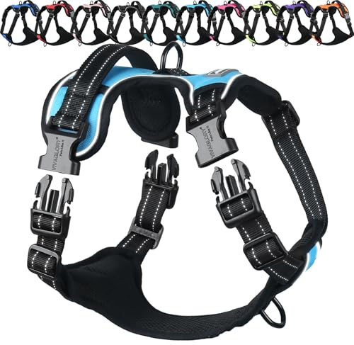 VIVAGLORY Anti Zieh Geschirr für Hunde Hundegeschirr, M, Blau, B | Antizuggeschirr mit Gepolstert Griff & Brustring, Anti Zieh Mitwachsend Ausbruchsicher & Reflektierend für Welpe Hund