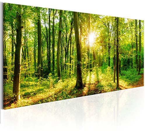 decomonkey Bilder Wald 150x50 cm XXL 1 Teilig Leinwandbilder Bild auf Leinwand Vlies Wandbild Kunstdruck Wanddeko Wand Wohnzimmer Wanddekoration Deko Baum Bäume Natur Landschaft