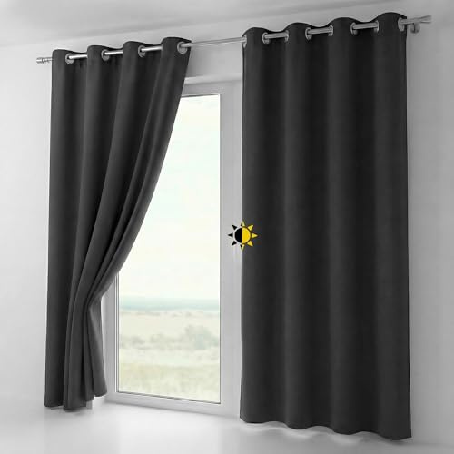BEAUTEX Verdunkelungsgardine mit Ösen, Blackout Ösenschal Blickdicht abdunkelnd, Größe und Farbe wählbar (Breite: 140 cm, Höhe: 225 cm, Dunkelgrau) | Blackout, lichtmindernd, wärmeisolierend, schalldämmend, pflegeleicht, waschbar, viele Farben und Größen wählbar