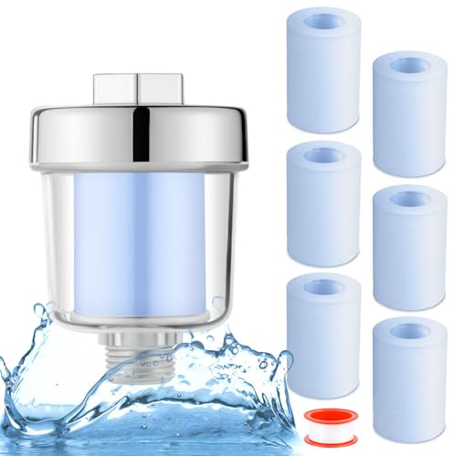 Filtro de ducha, filtro de cal para ducha, filtro de ducha con 1 banda de teflón y 6 cartuchos de filtro, filtro de agua para ducha Filtro de ducha para la ducha