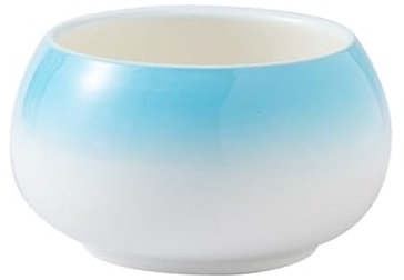 NEBE Piatti Moderni Ciotola Creativa in Ceramica for contorni, stoviglie for ristoranti, insalatiera, Ciotola for Frutta e Dessert, Piatto da Cucina for la casa Piatti Fondi